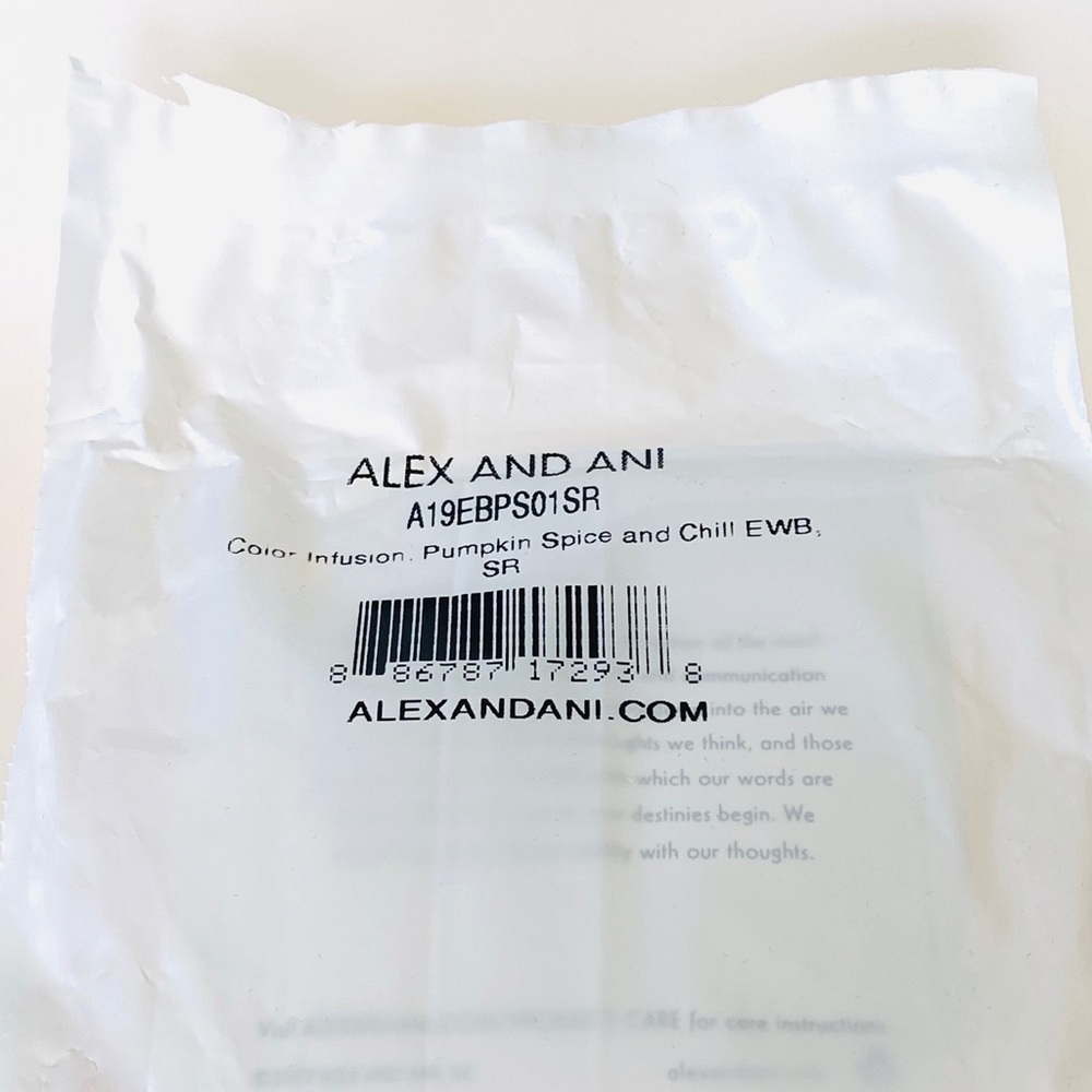 Alex and Ani Pumpkin Spice and Chill Bracelet - Picture 4 of 4